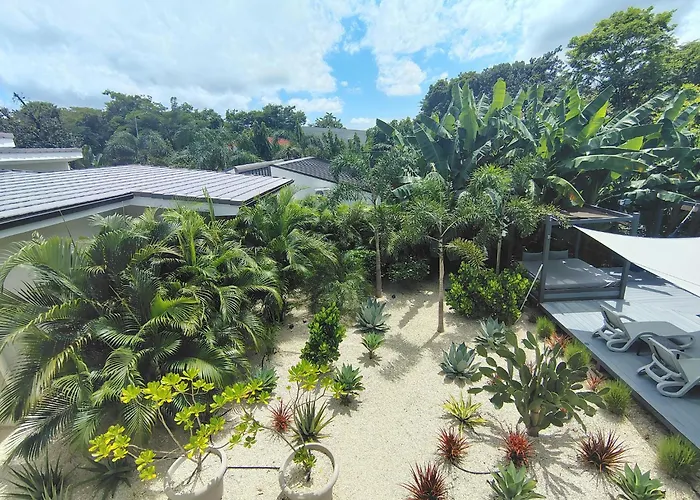 Bo Jungle - Steps To - Surf Pool 1 Tamarindo